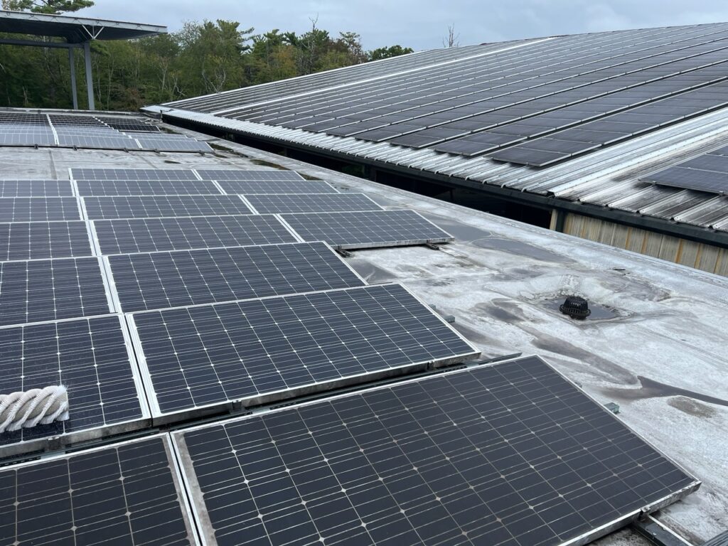 Keep your rooftop solar panels clean all season long with professional help.