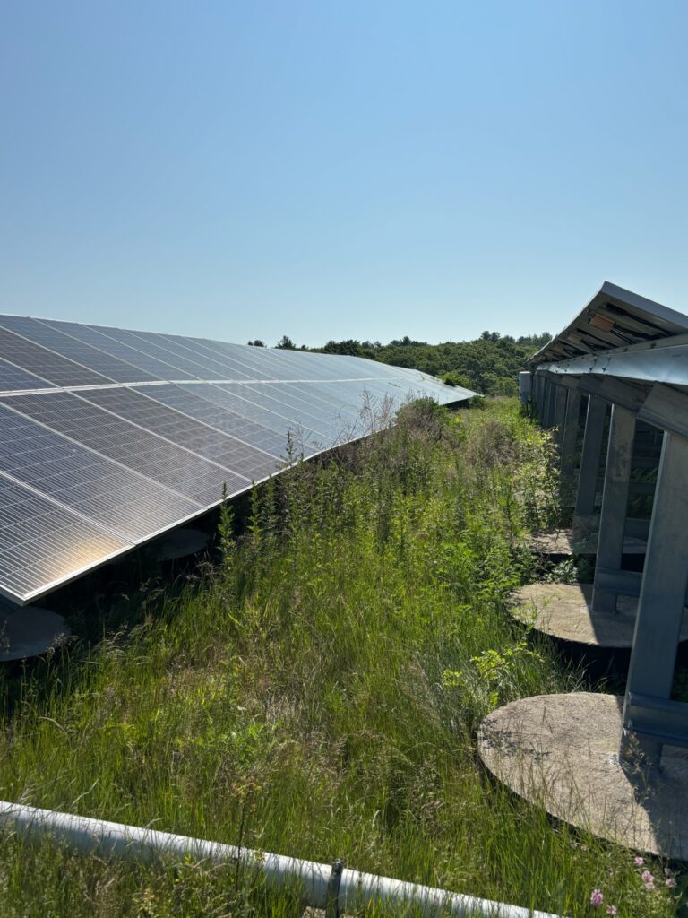 Vegetation management is import for peak solar production.