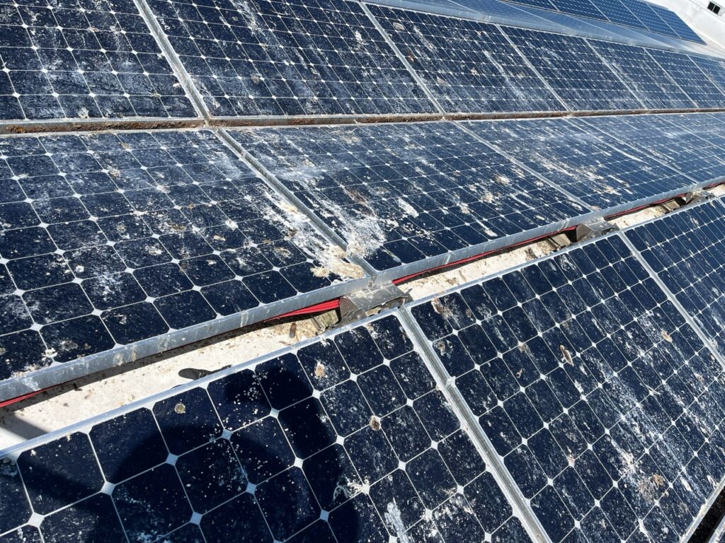 116_Peak_Solar_Pro_Solar_Panel_Cleaning_Maintenance_Vegetation_Management