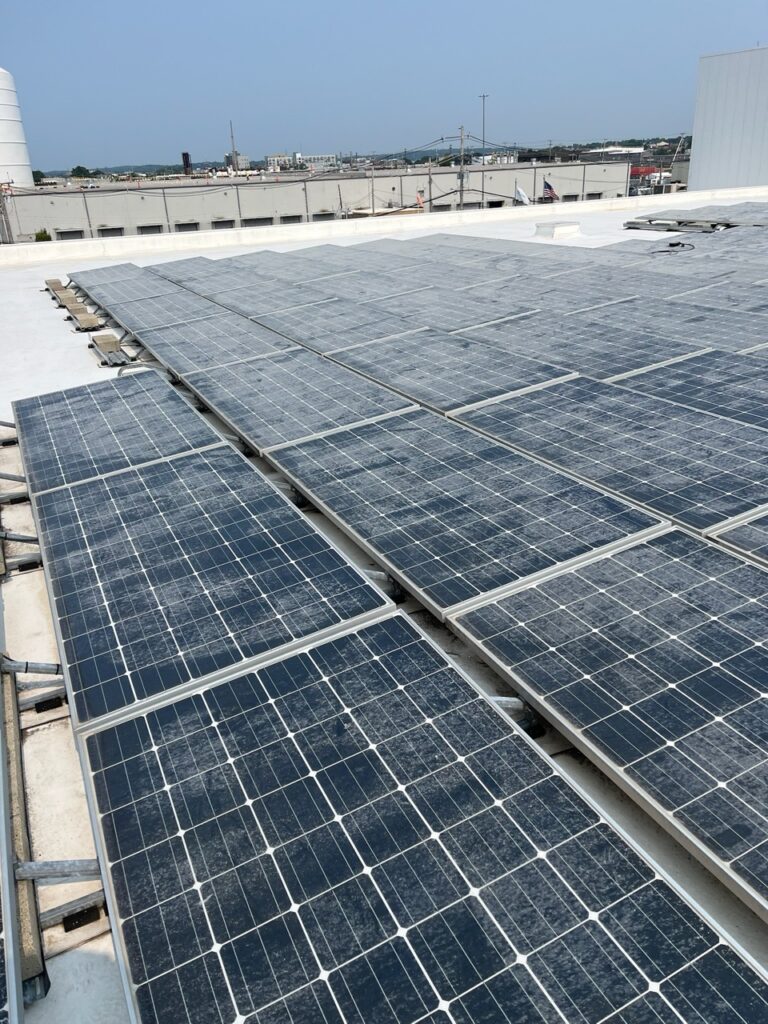 Don't let seasonal build up stop your panels from outputting power. Get them cleaned professionally with Peak Solar Pro.